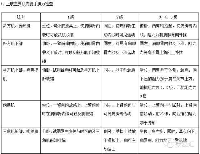 2024年12月 第234頁