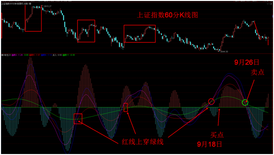 四不像中特圖2025199期,四不像中特圖系統(tǒng)分析解釋定義與黃金版數(shù)字解讀,實(shí)地評(píng)估策略數(shù)據(jù)_MR48.37.69