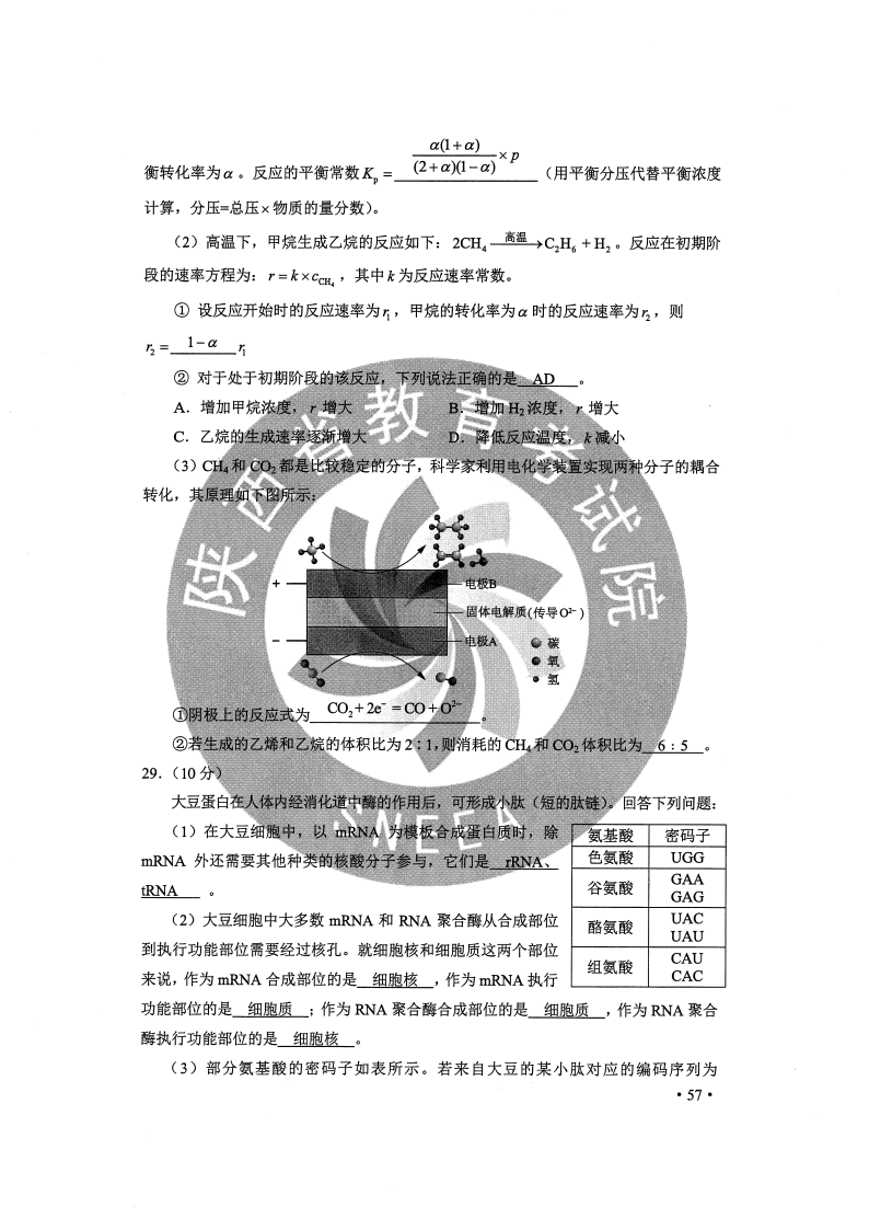 2025年1月6日 第81頁