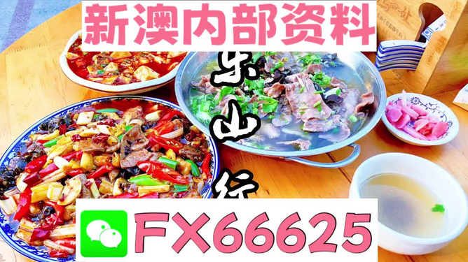 新澳正版資料免費(fèi)提供,新澳正版資料的免費(fèi)提供與動(dòng)態(tài)調(diào)整策略執(zhí)行，Pixel 42的啟示,迅速設(shè)計(jì)執(zhí)行方案_沙版49.76.94