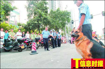 警犬從特警車伸出小腦瓜盯梢