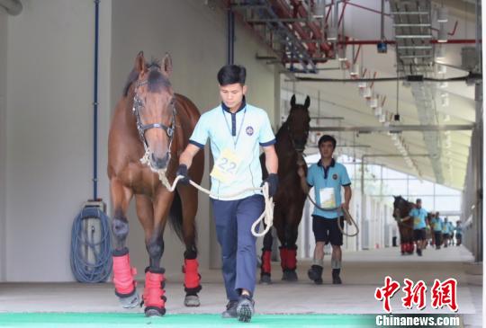 香港賽馬會資料