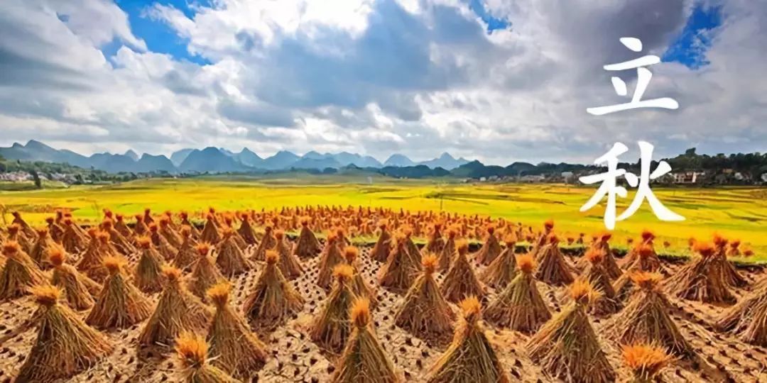 江西一景區(qū)老人在屋頂晾曬農(nóng)作物