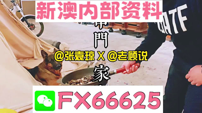 管家婆資料精準(zhǔn)大全