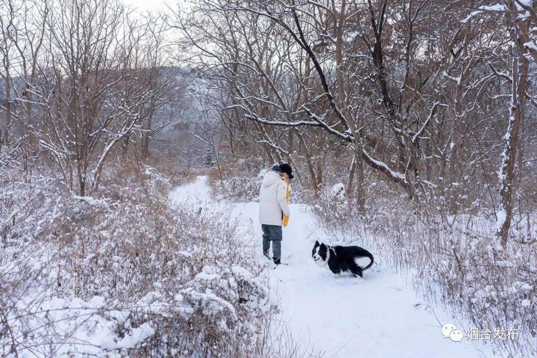 煙臺(tái)再次開(kāi)啟雪窩模式