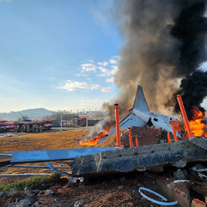 韓國正全力救援飛機(jī)尾翼處乘客