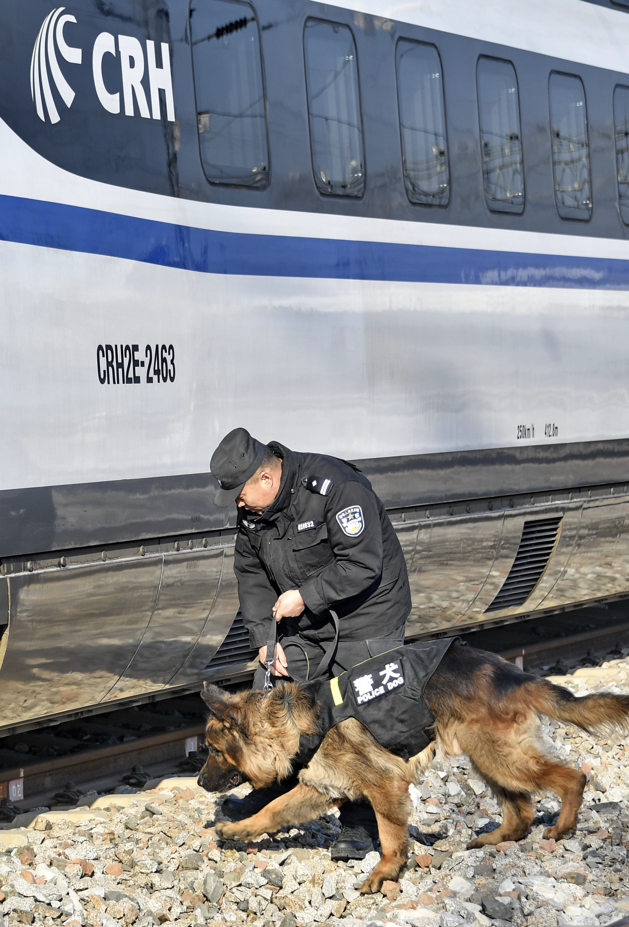 警犬從特警車伸出小腦瓜盯梢