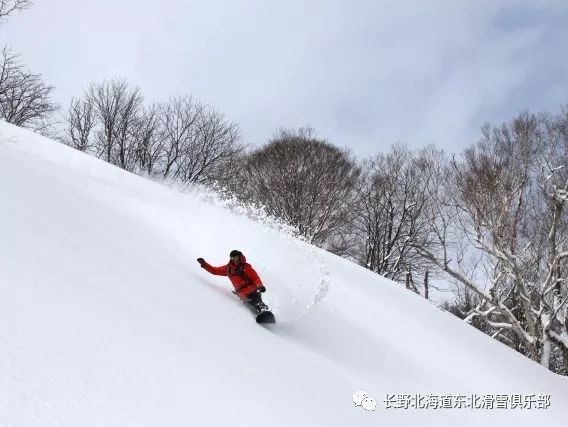 爸爸帶娃滑雪撬主打一個相互信任