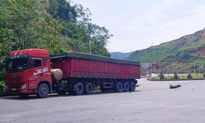 被大貨車(chē)壓死的狼無(wú)法判斷是網(wǎng)紅狼