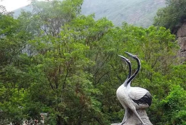 山東鶴伴山景區(qū)遭野猴襲擾