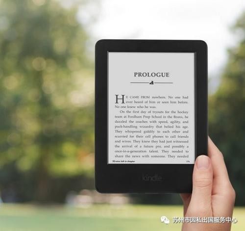 2025年新澳版資料正版圖庫(kù),多元方案執(zhí)行策略_Kindle78.94.84