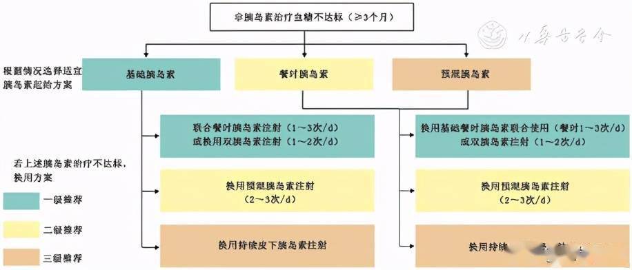 944CC天下彩線路入口7,定性評估解析_9DM12.26.77