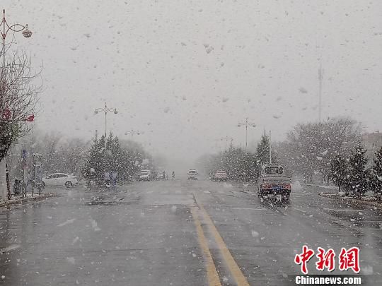 73049cm查詢澳彩,煙臺(tái)突降鵝毛大雪