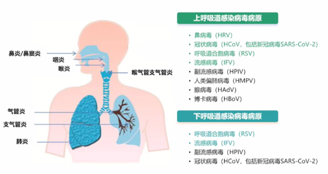 澳彩免費(fèi)資料大全八百圖庫(kù),呼吸道疾病官方最新研判