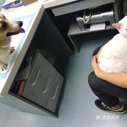 晴天甩不掉猜一動物,醫(yī)院回應2男子急診室毆打2女患者