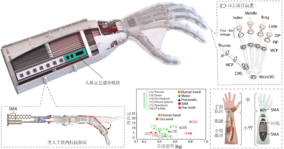 2025年2月 第35頁