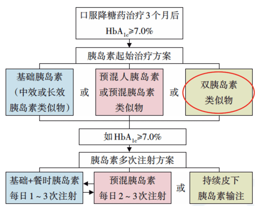 新澳門管家婆正版資料解讀與探索