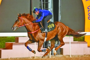 澳門今晚四不像特馬資料分析與展望