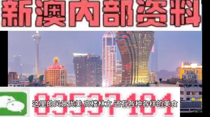 新澳門精準(zhǔn)的資料大全，文化與歷史的交融之地